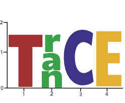 Transcription, Chromatin, Epigenetics 